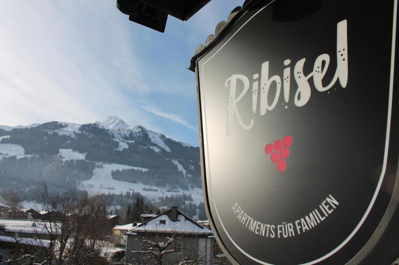 Ribisel Apartments Fuer Familien - Alpentherme Inklusive! Bad Hofgastein Extérieur photo